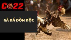 Gà Đá Đòn Độc