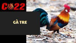 Gà Tre