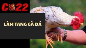 Làm Tang Gà Đá