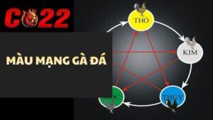 Màu Mạng Gà Đá