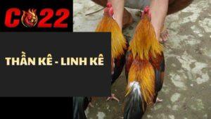 Thần Kê, Linh Kê