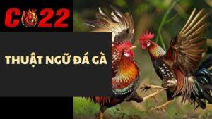 Thuật Ngữ Đá Gà