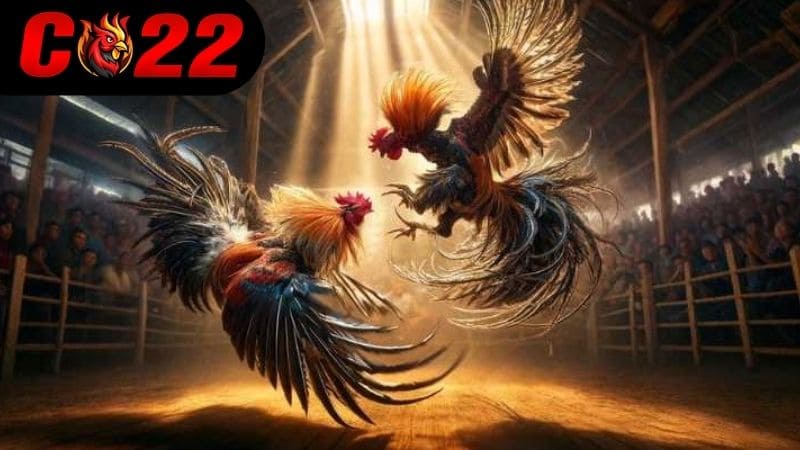 Phát sóng trận đấu mượt mà và không bị giật lag